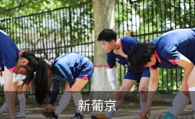 新葡京介绍